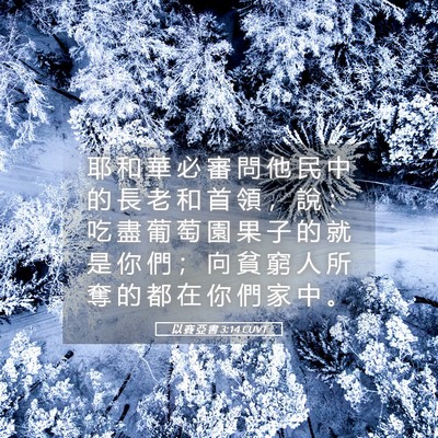 Picture 05 - 以 賽 亞 書 3:14 CUVT - 耶 和 華 必 審 問 他 民 中 的 長 老 - Bible Verse Picture