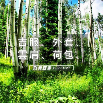 Picture 05 - 以 賽 亞 書 3:22 CUVT - 吉 服 、 外 套 、 雲 肩 、 荷 包 - Bible Verse Picture