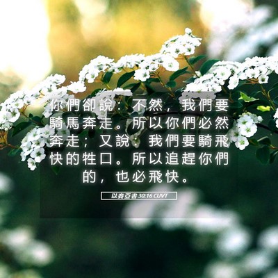 Picture 05 - 以 賽 亞 書 30:16 CUVT - 你 們 卻 說 ： 不 然 ， 我 們 要 騎 - Bible Verse Picture