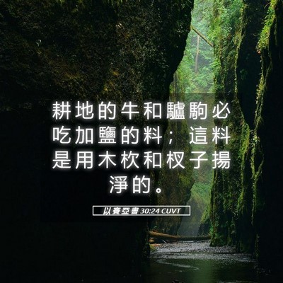 Picture 05 - 以 賽 亞 書 30:24 CUVT - 耕 地 的 牛 和 驢 駒 必 吃 加 鹽 的 - Bible Verse Picture