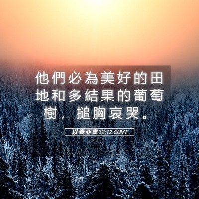 Picture 05 - 以 賽 亞 書 32:12 CUVT - 他 們 必 為 美 好 的 田 地 和 多 結 - Bible Verse Picture