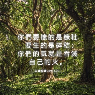 Picture 05 - 以 賽 亞 書 33:11 CUVT - 你 們 要 懷 的 是 糠 秕 ， 要 生 的 - Bible Verse Picture