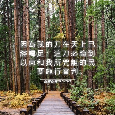 Picture 05 - 以 賽 亞 書 34:5 CUVT - 因 為 我 的 刀 在 天 上 已 經 喝 足 - Bible Verse Picture