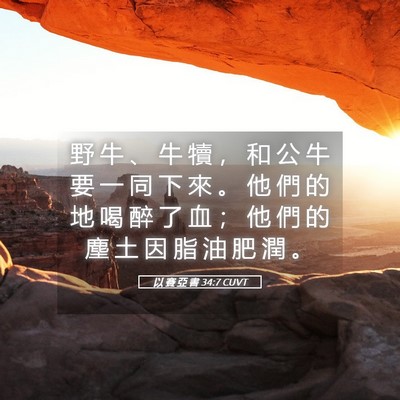 Picture 05 - 以 賽 亞 書 34:7 CUVT - 野 牛 、 牛 犢 ， 和 公 牛 要 一 同 - Bible Verse Picture
