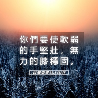 Picture 05 - 以 賽 亞 書 35:3 CUVT - 你 們 要 使 軟 弱 的 手 堅 壯 ， 無 - Bible Verse Picture