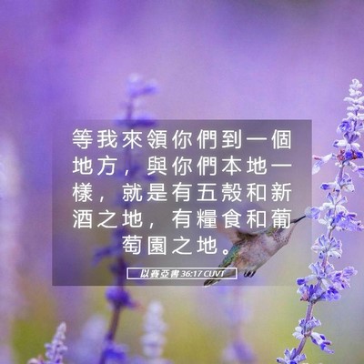 Picture 05 - 以 賽 亞 書 36:17 CUVT - 等 我 來 領 你 們 到 一 個 地 方 ， - Bible Verse Picture