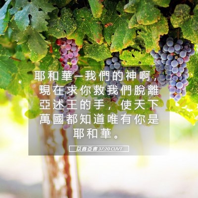 Picture 05 - 以 賽 亞 書 37:20 CUVT - 耶 和 華 ─ 我 們 的 神 啊 ， 現 在 - Bible Verse Picture