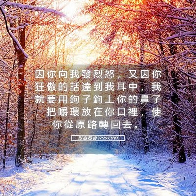 Picture 05 - 以 賽 亞 書 37:29 CUVT - 因 你 向 我 發 烈 怒 ， 又 因 你 狂 - Bible Verse Picture