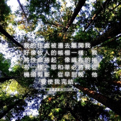 Picture 05 - 以 賽 亞 書 38:12 CUVT - 我 的 住 處 被 遷 去 離 開 我 ， 好 - Bible Verse Picture