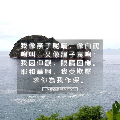 Picture 05 - 以 賽 亞 書 38:14 CUVT - 我 像 燕 子 呢 喃 ， 像 白 鶴 鳴 叫 - Bible Verse Picture