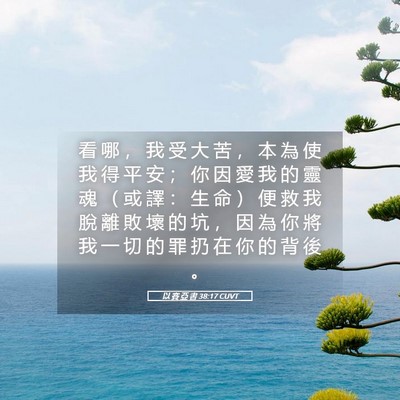 Picture 05 - 以 賽 亞 書 38:17 CUVT - 看 哪 ， 我 受 大 苦 ， 本 為 使 我 - Bible Verse Picture