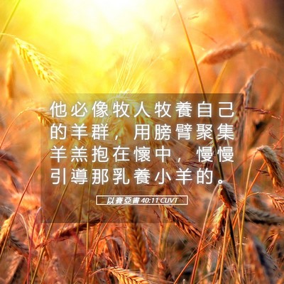 Picture 05 - 以 賽 亞 書 40:11 CUVT - 他 必 像 牧 人 牧 養 自 己 的 羊 群 - Bible Verse Picture