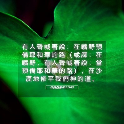 Picture 05 - 以 賽 亞 書 40:3 CUVT - 有 人 聲 喊 著 說 ： 在 曠 野 預 備 - Bible Verse Picture