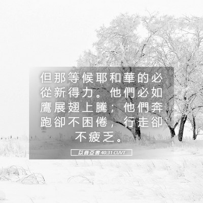 Picture 05 - 以 賽 亞 書 40:31 CUVT - 但 那 等 候 耶 和 華 的 必 從 新 得 - Bible Verse Picture