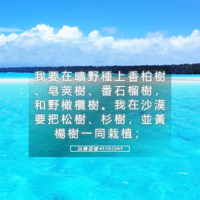 Picture 05 - 以 賽 亞 書 41:19 CUVT - 我 要 在 曠 野 種 上 香 柏 樹 、 皂 - Bible Verse Picture