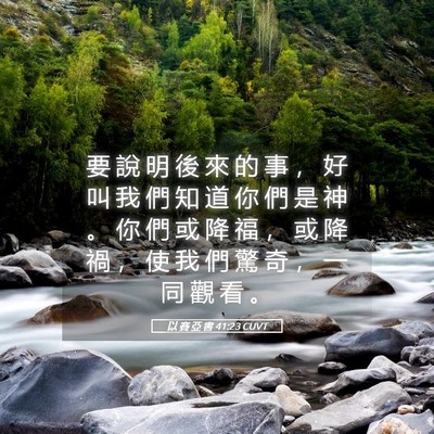Picture 05 - 以 賽 亞 書 41:23 CUVT - 要 說 明 後 來 的 事 ， 好 叫 我 們 - Bible Verse Picture