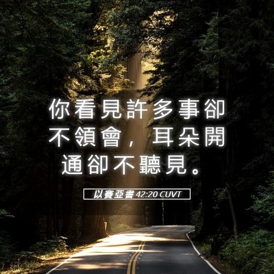 Picture 05 - 以 賽 亞 書 42:20 CUVT - 你 看 見 許 多 事 卻 不 領 會 ， 耳 - Bible Verse Picture