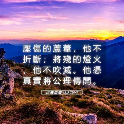 Picture 05 - 以 賽 亞 書 42:3 CUVT - 壓 傷 的 蘆 葦 ， 他 不 折 斷 ； 將 - Bible Verse Picture