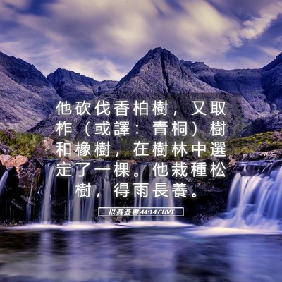 Picture 05 - 以 賽 亞 書 44:14 CUVT - 他 砍 伐 香 柏 樹 ， 又 取 柞 （ 或 - Bible Verse Picture