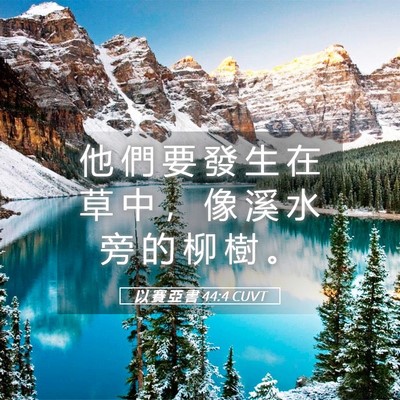 Picture 05 - 以 賽 亞 書 44:4 CUVT - 他 們 要 發 生 在 草 中 ， 像 溪 水 - Bible Verse Picture