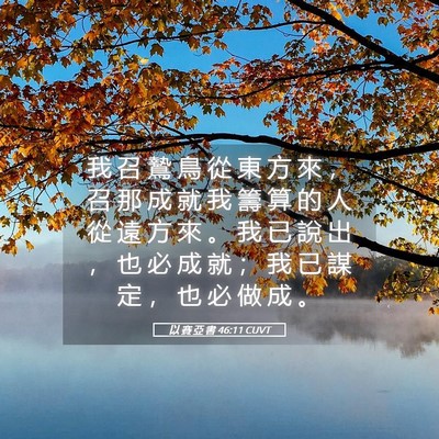 Picture 05 - 以 賽 亞 書 46:11 CUVT - 我 召 鷙 鳥 從 東 方 來 ， 召 那 成 - Bible Verse Picture