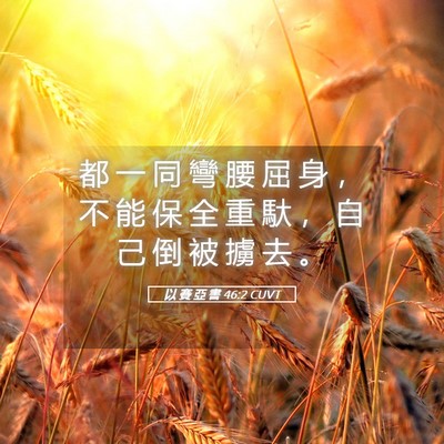 Picture 05 - 以 賽 亞 書 46:2 CUVT - 都 一 同 彎 腰 屈 身 ， 不 能 保 全 - Bible Verse Picture