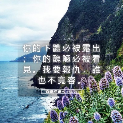 Picture 05 - 以 賽 亞 書 47:3 CUVT - 你 的 下 體 必 被 露 出 ； 你 的 醜 - Bible Verse Picture