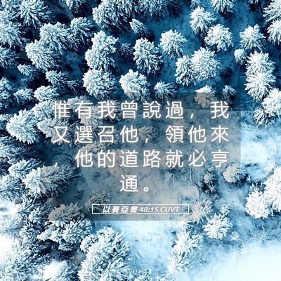 Picture 05 - 以 賽 亞 書 48:15 CUVT - 惟 有 我 曾 說 過 ， 我 又 選 召 他 - Bible Verse Picture