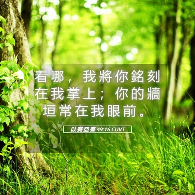 Picture 05 - 以 賽 亞 書 49:16 CUVT - 看 哪 ， 我 將 你 銘 刻 在 我 掌 上 - Bible Verse Picture