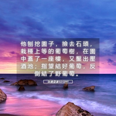 Picture 05 - 以 賽 亞 書 5:2 CUVT - 他 刨 挖 園 子 ， 撿 去 石 頭 ， 栽 - Bible Verse Picture