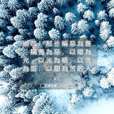 Picture 05 - 以 賽 亞 書 5:20 CUVT - 禍 哉 ！ 那 些 稱 惡 為 善 ， 稱 善 - Bible Verse Picture