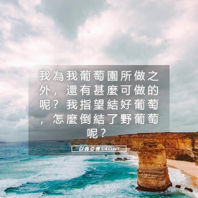 Picture 05 - 以 賽 亞 書 5:4 CUVT - 我 為 我 葡 萄 園 所 做 之 外 ， 還 - Bible Verse Picture
