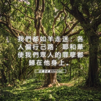 Picture 05 - 以 賽 亞 書 53:6 CUVT - 我 們 都 如 羊 走 迷 ； 各 人 偏 行 - Bible Verse Picture