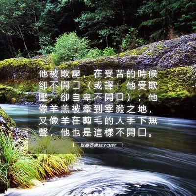 Picture 05 - 以 賽 亞 書 53:7 CUVT - 他 被 欺 壓 ， 在 受 苦 的 時 候 卻 - Bible Verse Picture