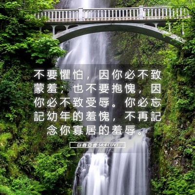 Picture 05 - 以 賽 亞 書 54:4 CUVT - 不 要 懼 怕 ， 因 你 必 不 致 蒙 羞 - Bible Verse Picture