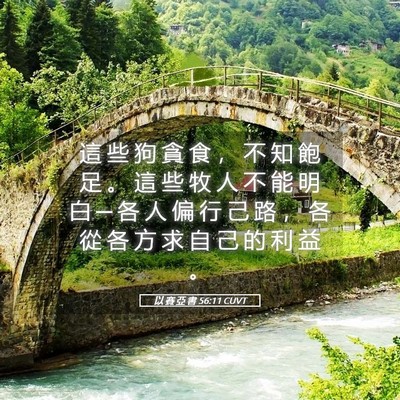 Picture 05 - 以 賽 亞 書 56:11 CUVT - 這 些 狗 貪 食 ， 不 知 飽 足 。 這 - Bible Verse Picture