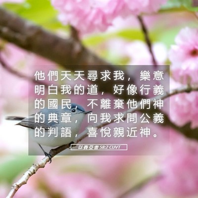 Picture 05 - 以 賽 亞 書 58:2 CUVT - 他 們 天 天 尋 求 我 ， 樂 意 明 白 - Bible Verse Picture