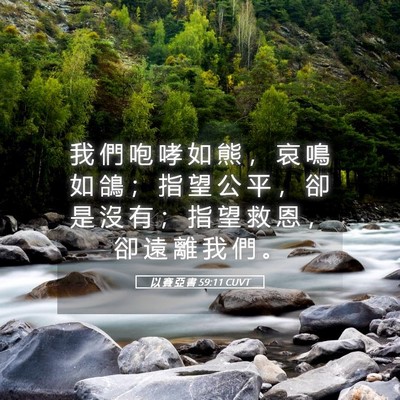 Picture 05 - 以 賽 亞 書 59:11 CUVT - 我 們 咆 哮 如 熊 ， 哀 鳴 如 鴿 ； - Bible Verse Picture