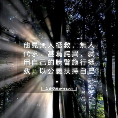 Picture 05 - 以 賽 亞 書 59:16 CUVT - 他 見 無 人 拯 救 ， 無 人 代 求 ， - Bible Verse Picture