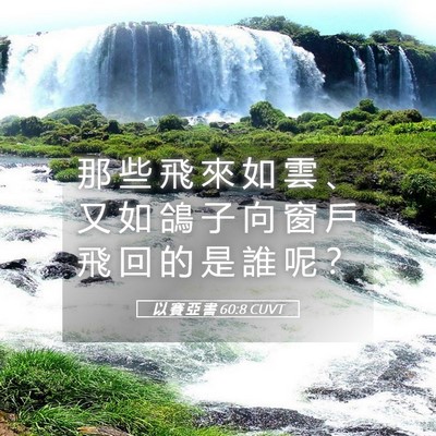 Picture 05 - 以 賽 亞 書 60:8 CUVT - 那 些 飛 來 如 雲 、 又 如 鴿 子 向 - Bible Verse Picture