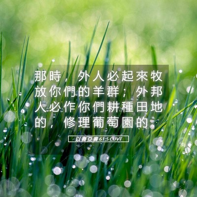 Picture 05 - 以 賽 亞 書 61:5 CUVT - 那 時 ， 外 人 必 起 來 牧 放 你 們 - Bible Verse Picture