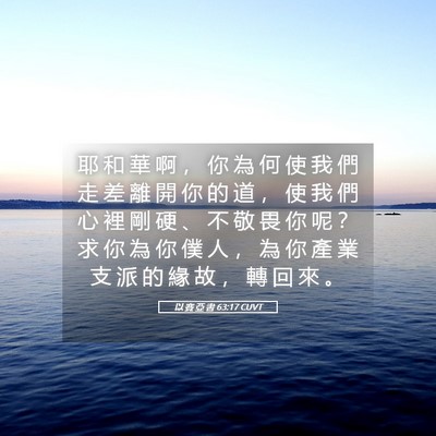 Picture 05 - 以 賽 亞 書 63:17 CUVT - 耶 和 華 啊 ， 你 為 何 使 我 們 走 - Bible Verse Picture