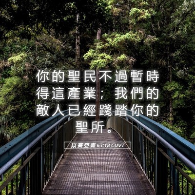 Picture 05 - 以 賽 亞 書 63:18 CUVT - 你 的 聖 民 不 過 暫 時 得 這 產 業 - Bible Verse Picture