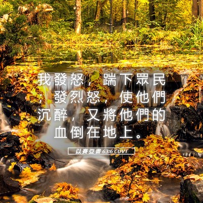 Picture 05 - 以 賽 亞 書 63:6 CUVT - 我 發 怒 ， 踹 下 眾 民 ； 發 烈 怒 - Bible Verse Picture