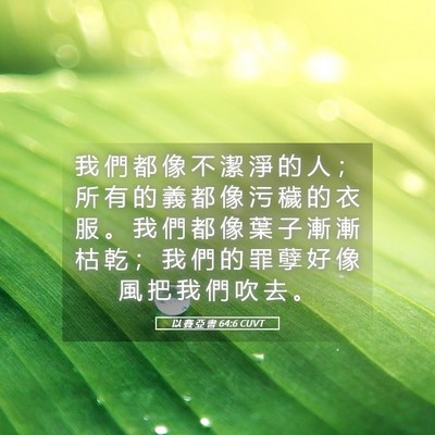 Picture 05 - 以 賽 亞 書 64:6 CUVT - 我 們 都 像 不 潔 淨 的 人 ； 所 有 - Bible Verse Picture