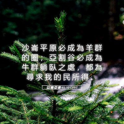 Picture 05 - 以 賽 亞 書 65:10 CUVT - 沙 崙 平 原 必 成 為 羊 群 的 圈 ； - Bible Verse Picture