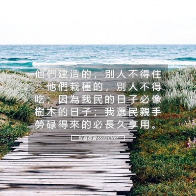 Picture 05 - 以 賽 亞 書 65:22 CUVT - 他 們 建 造 的 ， 別 人 不 得 住 ； - Bible Verse Picture