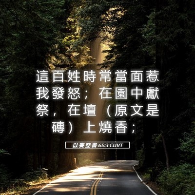 Picture 05 - 以 賽 亞 書 65:3 CUVT - 這 百 姓 時 常 當 面 惹 我 發 怒 ； - Bible Verse Picture