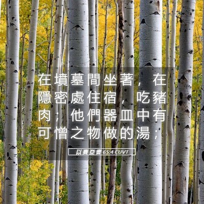 Picture 05 - 以 賽 亞 書 65:4 CUVT - 在 墳 墓 間 坐 著 ， 在 隱 密 處 住 - Bible Verse Picture