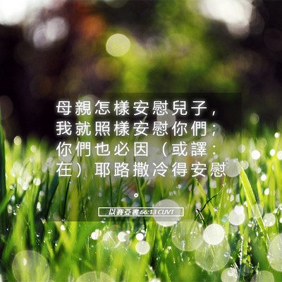 Picture 05 - 以 賽 亞 書 66:13 CUVT - 母 親 怎 樣 安 慰 兒 子 ， 我 就 照 - Bible Verse Picture